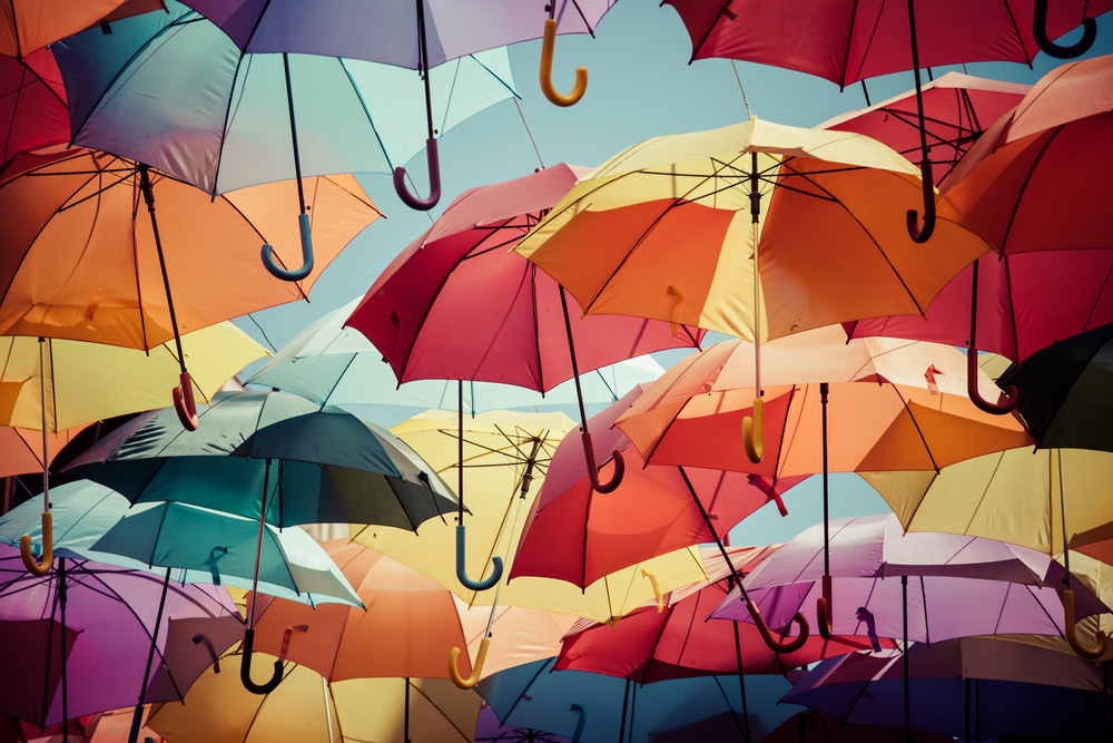 Umbrella Canopy Assessment